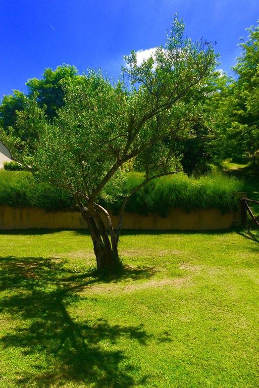 Agriturismo Acero Rosso Civitella di Romagna Luaran gambar